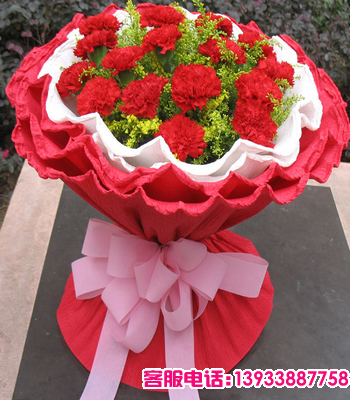 20支红色康乃馨，黄莺搭配